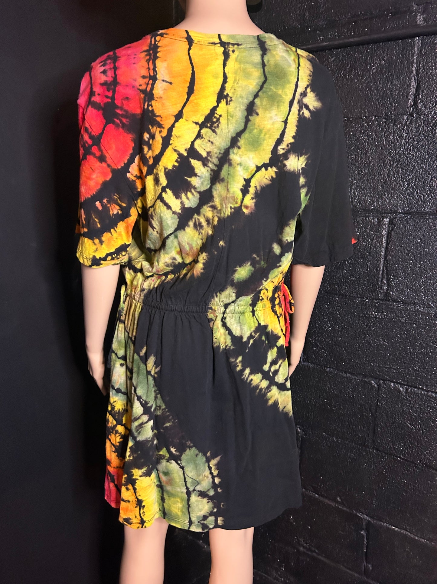 Adult Large Dress