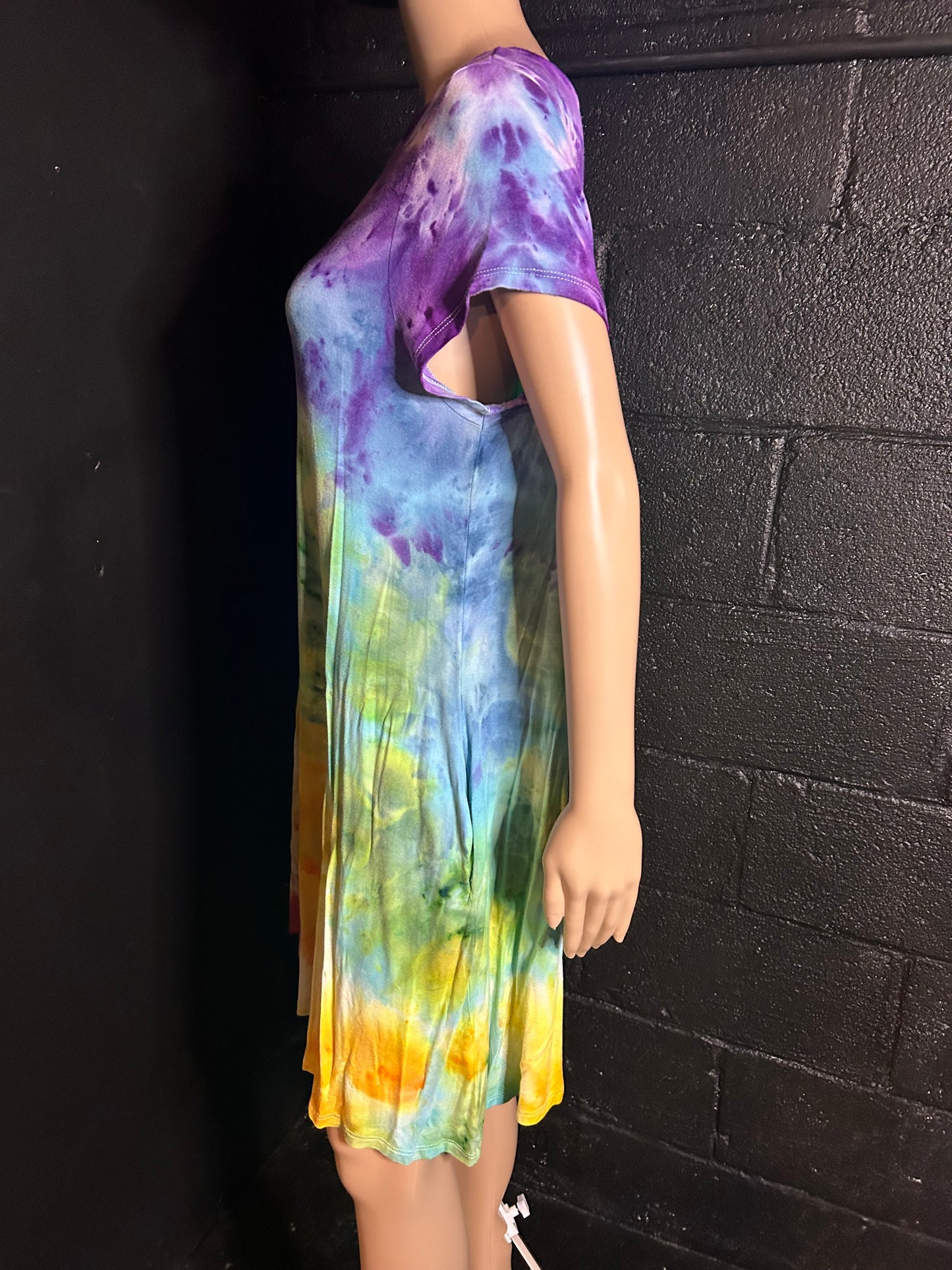 Adult XL Dress