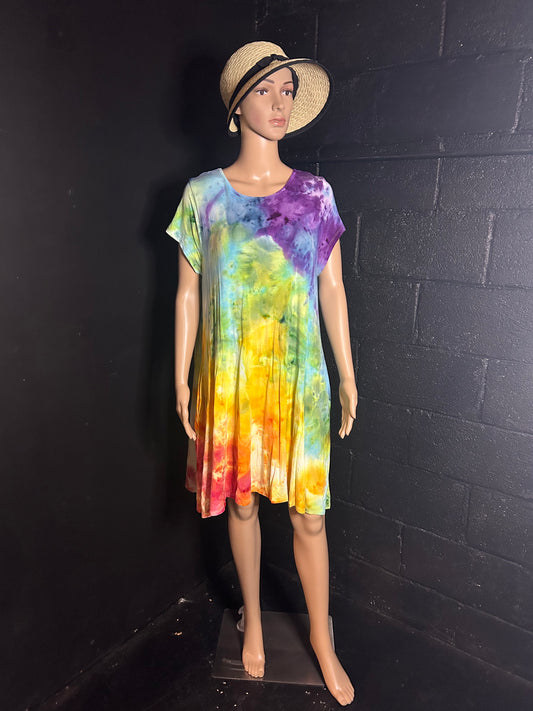 Adult XL Dress