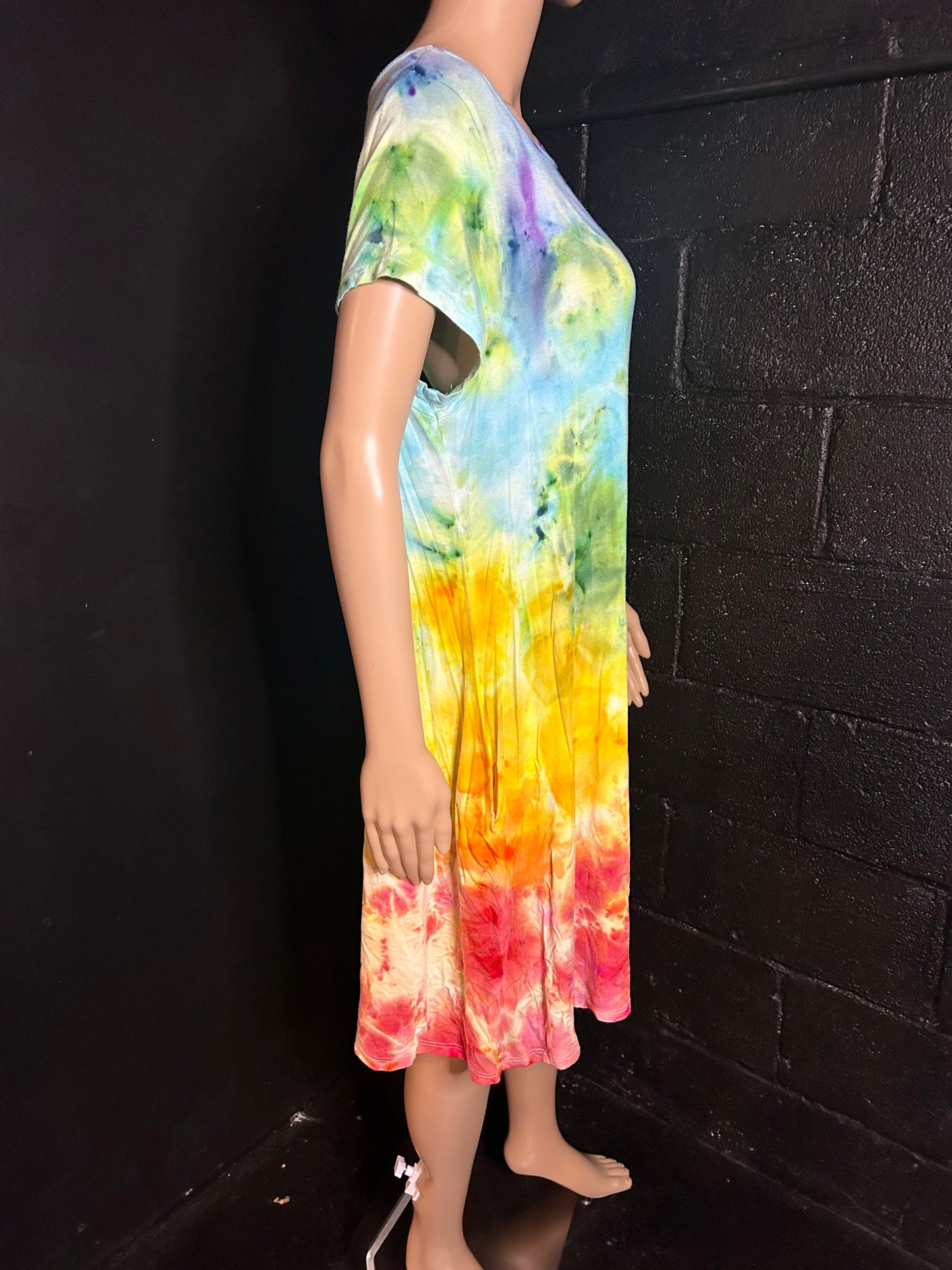 Adult XL Dress