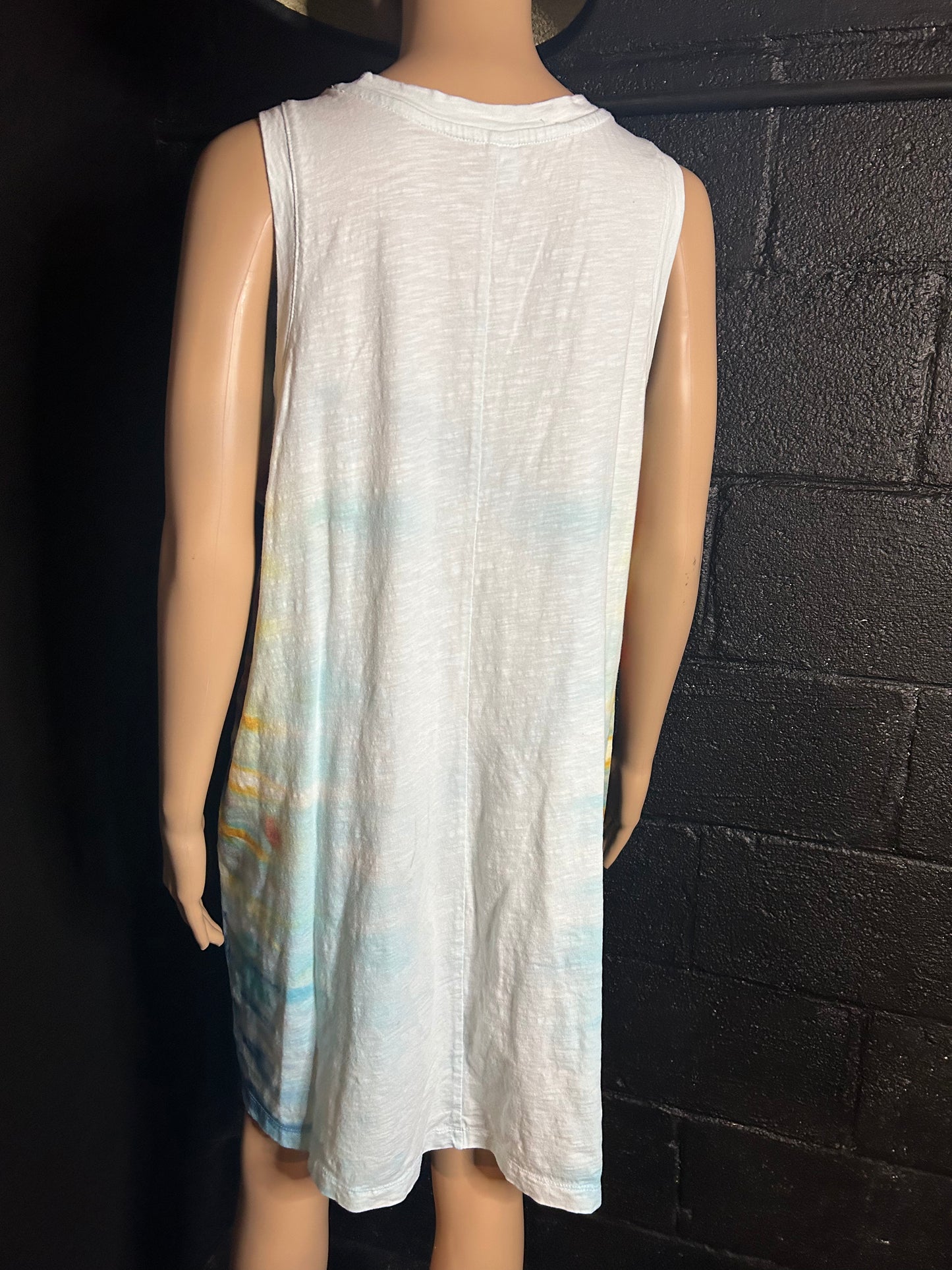 Adult XL Dress
