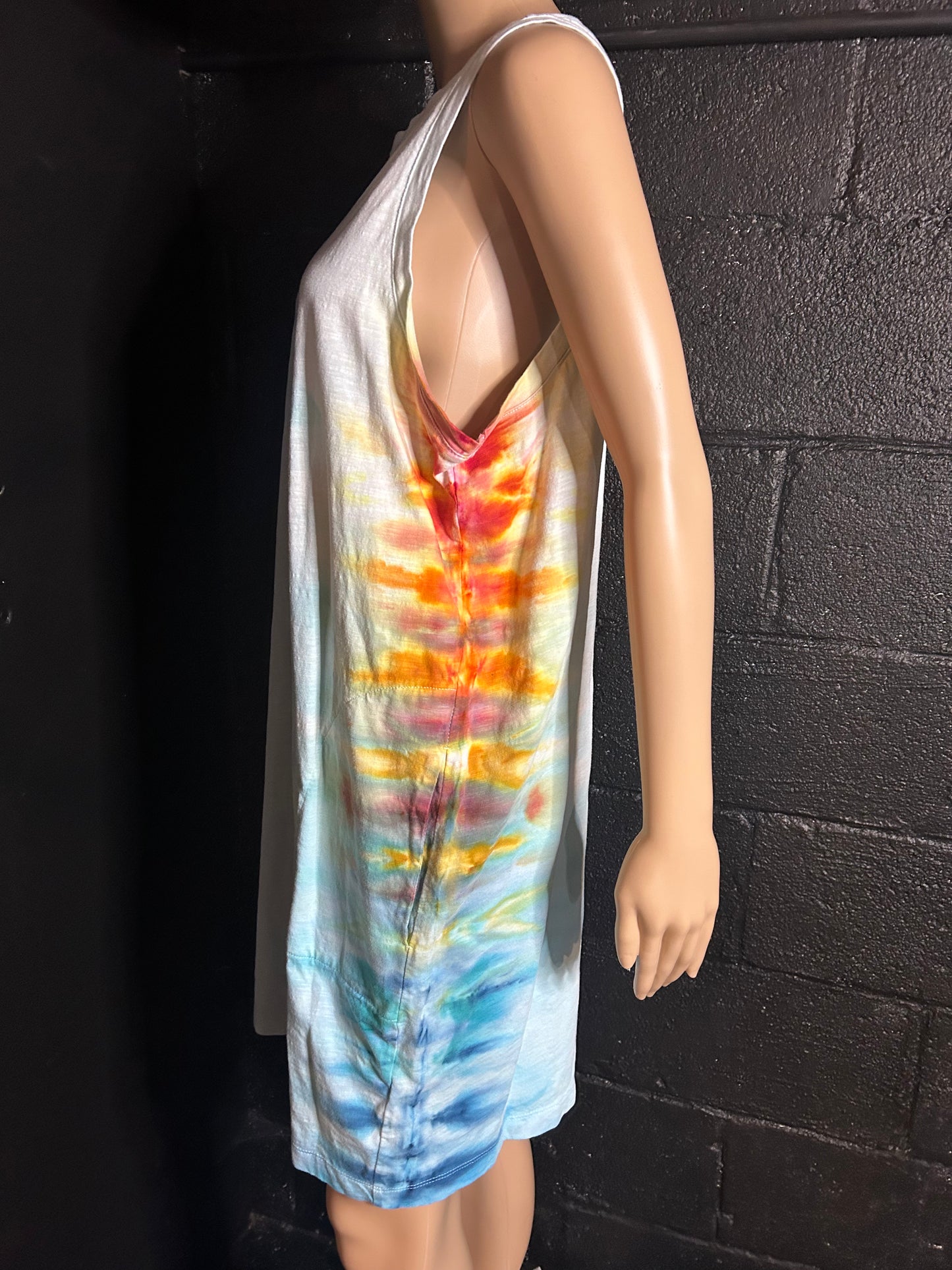 Adult XL Dress