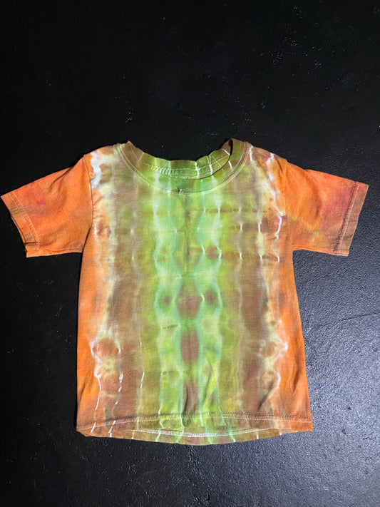 Toddler 2/3 T-shirt